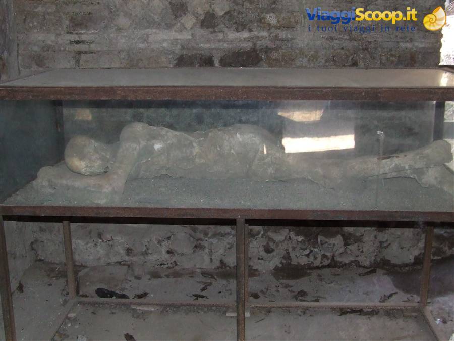 POMPEI - Calco in gesso