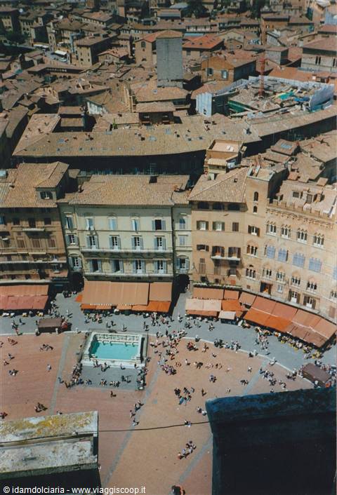 SIENA