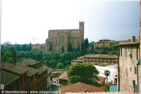 SIENA - S. Domenico