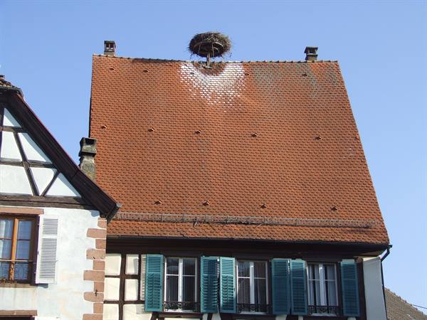 RIBEAUVILLE