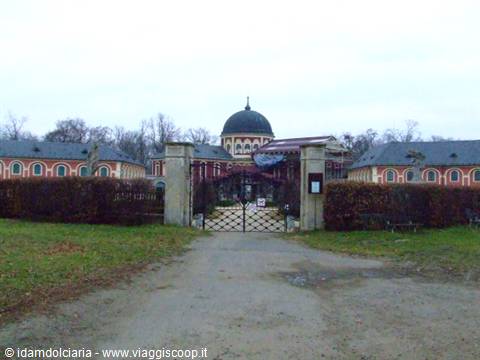 VELTRUSY