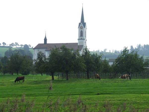 SURSEE - Campagna svizzera