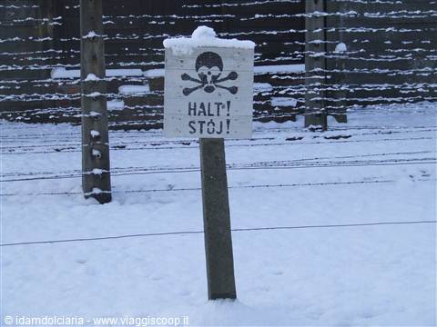 AUSCHWITZ