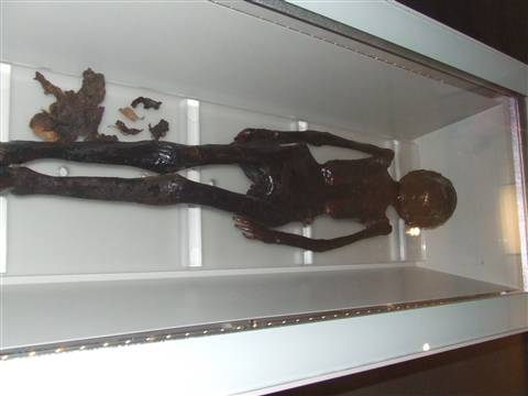 ROMA - Museo Nazionale : la mummia di Grottarossa