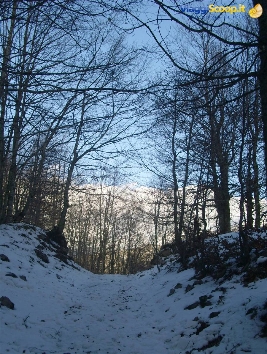 Foto di viaggio in ITALIA