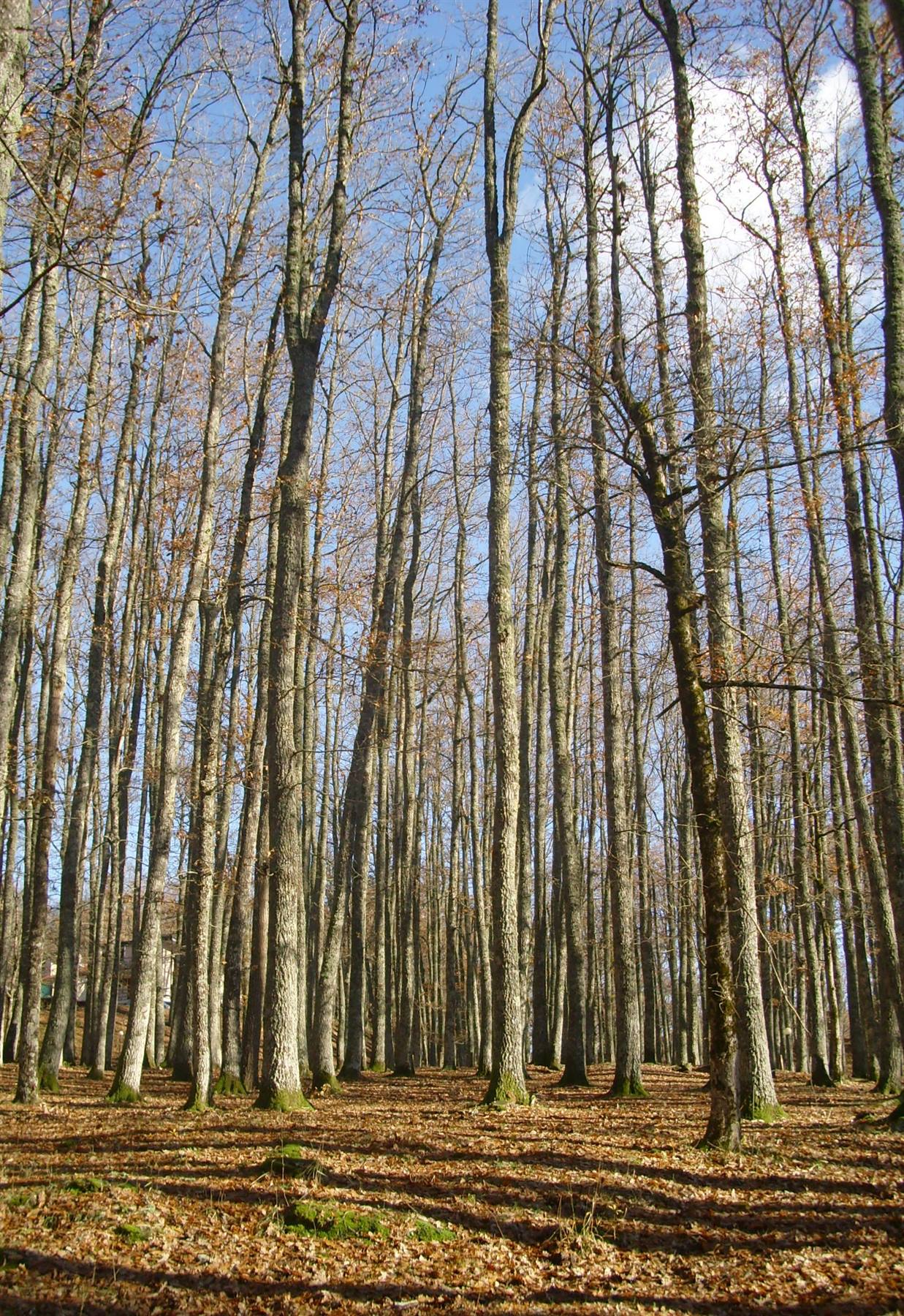 Foto di viaggio in ITALIA