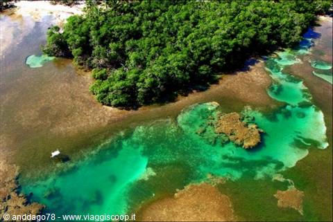Viaggio Las Terrenas cambiò la mia vita