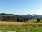 Ardenne