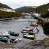 Boscastle REGNO UNITO 