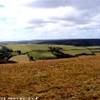 Exmoor NP REGNO UNITO 