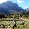Kinterbosh, i giardini botanici SUD AFRICA 