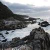 Tsitsikamma NP, l'Otter Trail SUD AFRICA 