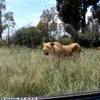 Lyon Park SUD AFRICA 