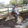 Lyon Park SUD AFRICA 