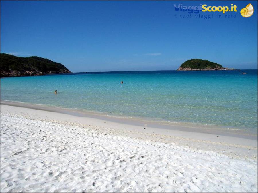 foto di macgreg