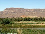 Valle del Draa, Tamenougalt