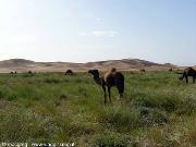 dune di Chegaga