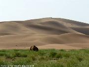 dune di Chegaga