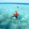 Isola di Saona, stelle marine REPUBBLICA DOMINICANA 