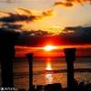 Viva Dominicus Beach REPUBBLICA DOMINICANA 