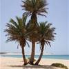  CAPO VERDE 
