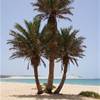  CAPO VERDE 