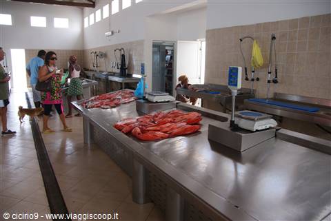 Mercato del pesce Sal Rei