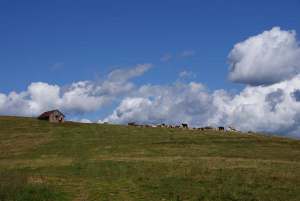 Piani dell'Avaro