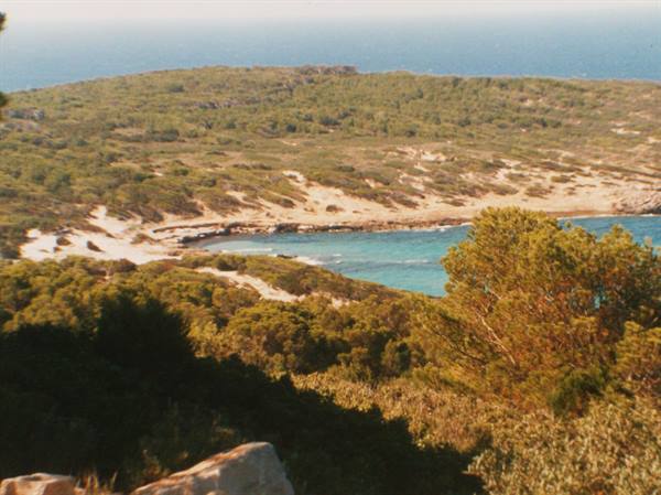Il mare di Porto Pino visto da casa