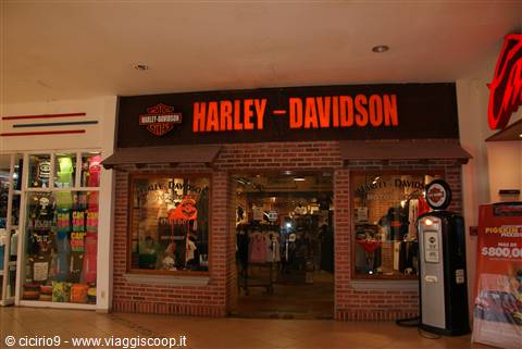 Harley