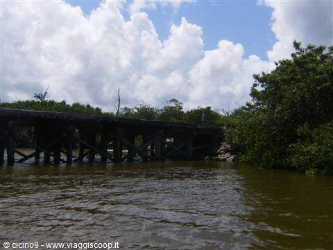 Messico e Nuvole - Rio Lagartos