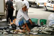 Muscat - Fish Market