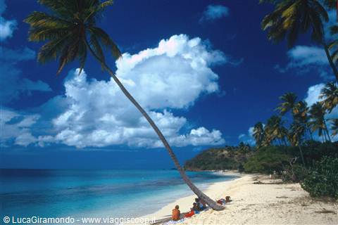 Antigua e Barbuda due perle del Caribe