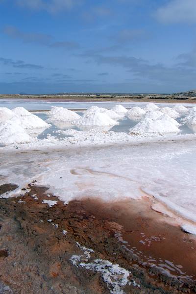 Santa Maria - saline