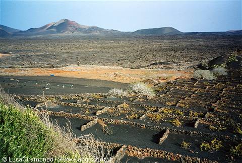 La Geria