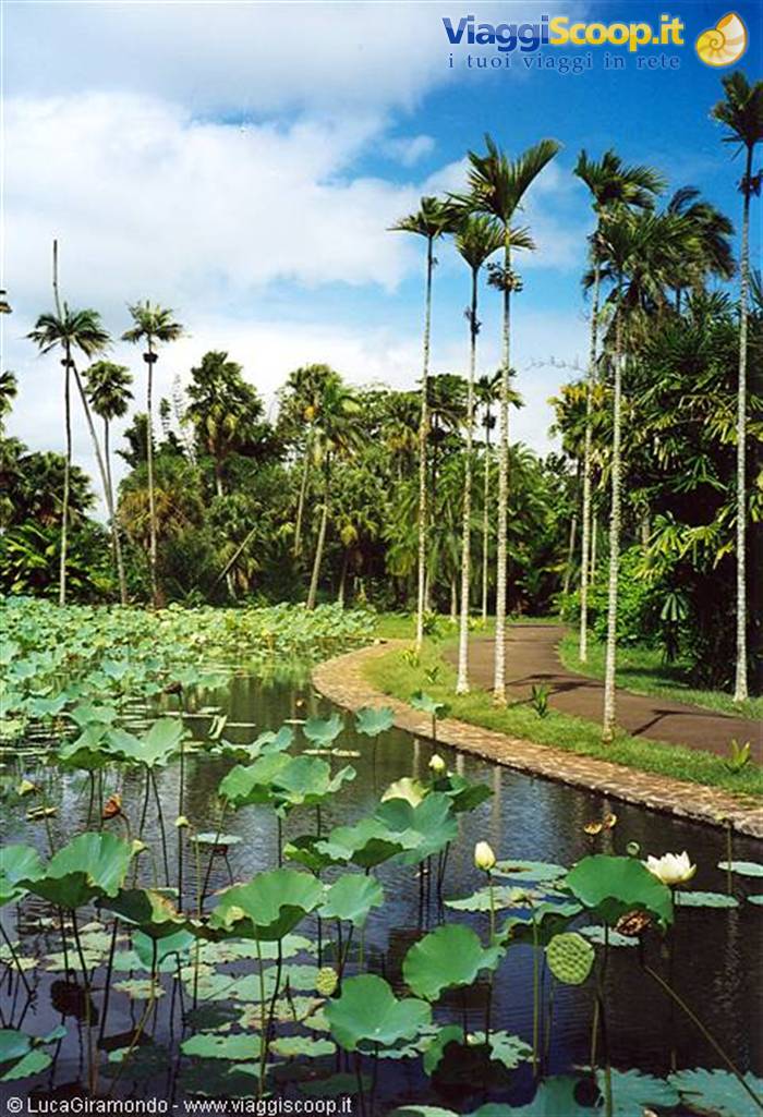 Giardini di Pamplemousses