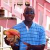 Conch Farm ISOLE TURKS E CAICOS 