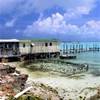 Conch Farm ISOLE TURKS E CAICOS 