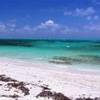Grace Bay - Smith's Reef ISOLE TURKS E CAICOS 