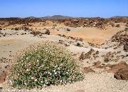 Parque Nacional del Teide - Minas de San Josè