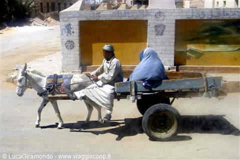 Gente di Siwa