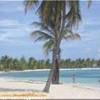 isola di saona, bayahibe - repubblica dominicana REPUBBLICA DOMINICANA 