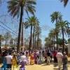 Jerez de la Frontera: Vamos á la feira do caballo ! SPAGNA 