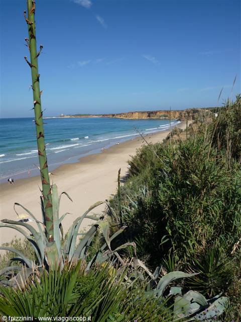 Scorcio sulla spiaggia di Conil de la Frontera