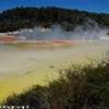 Wai-o-tapu NUOVA ZELANDA 