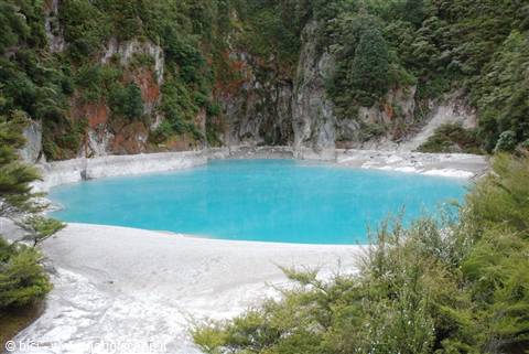 Whaimangu valley