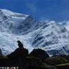 Kea e Rob roy glacier NUOVA ZELANDA 