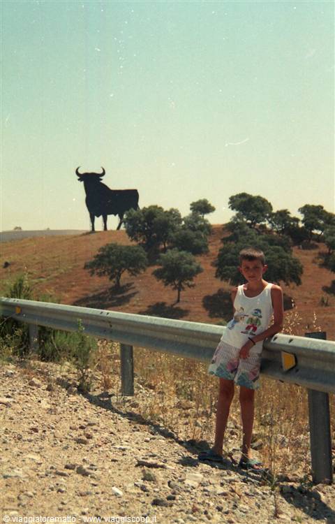 Marbella - toro in lontananza