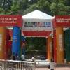Hong Kong - HK park HONG KONG 