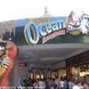 Hong Kong - Ocean park HONG KONG 